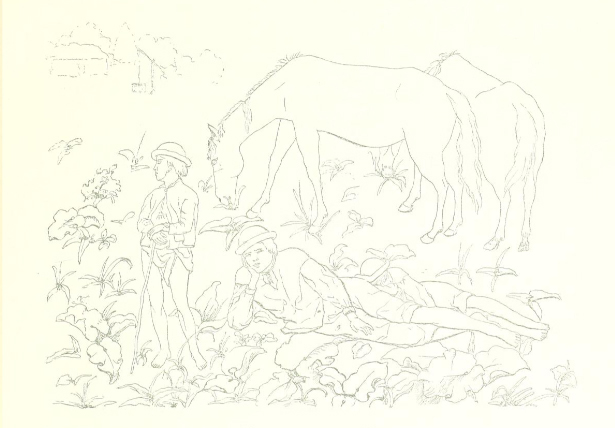 MM gyerekkori rajz2 A réten